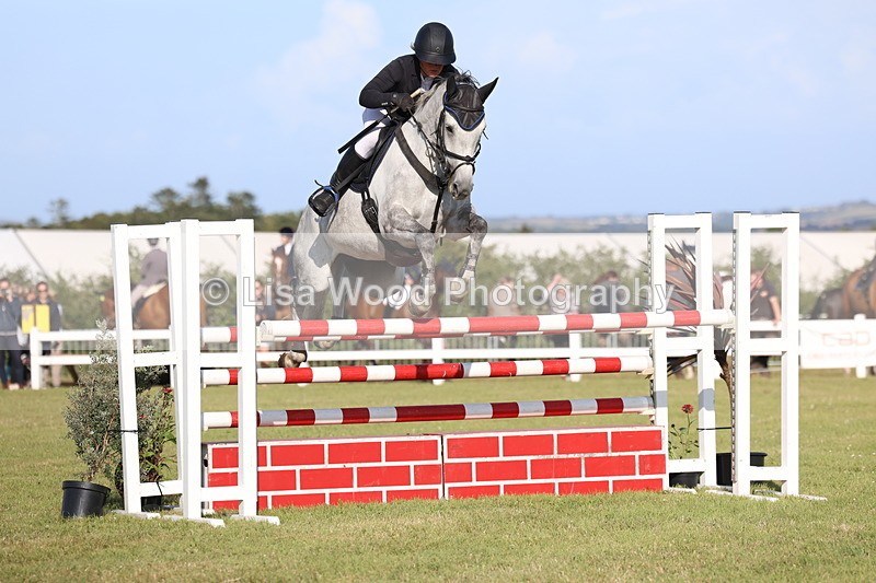 3E7A4473 - Class C: Showjumping Senior Foxhunter
