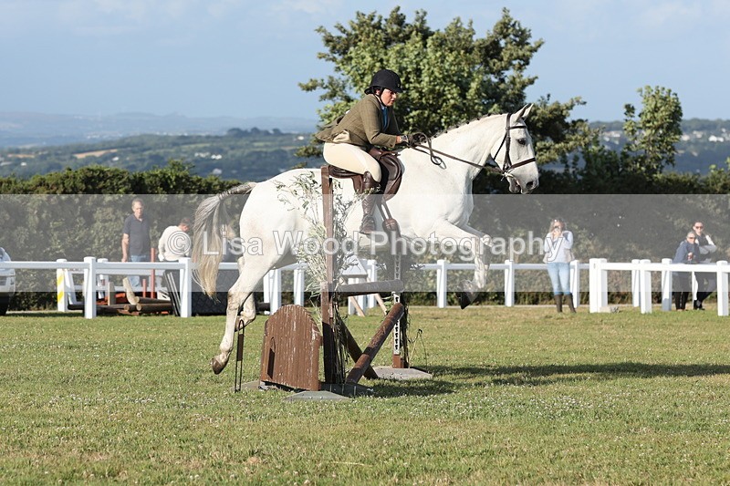 JPP_3481 - Class 22: Working Hunter 90cm