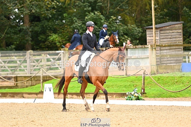 231021-120204-15044 - 345-THE.PREACHER.MAN-David.Doel-DR