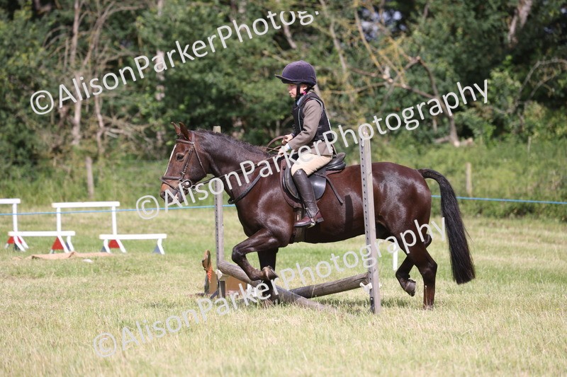 20260614-0520 - Class 20 - Beginners Working Hunter Pony