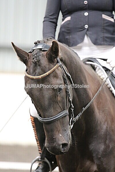 SIAL5336 - CAbin Dressage 5th july 2025