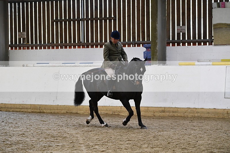 WJ5_6088 - Class 9 Ridden Veteran