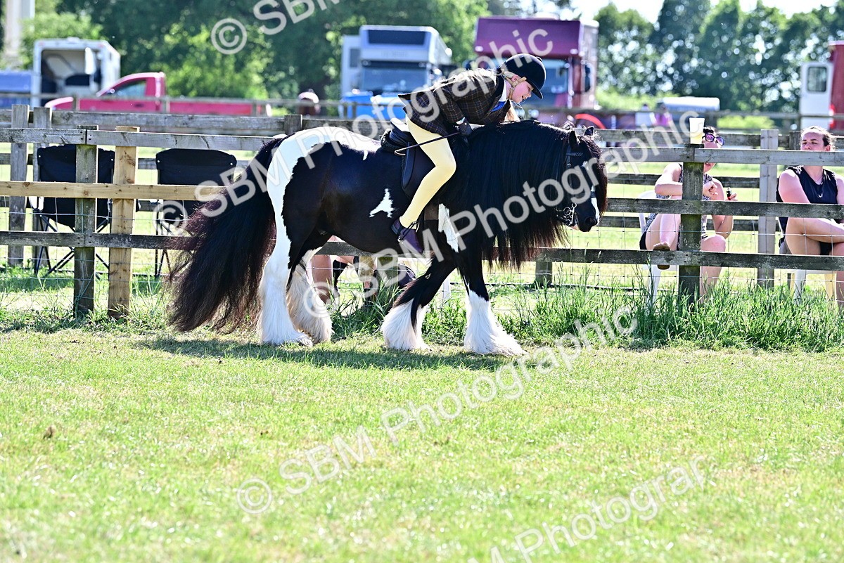 SBM_19416 - Class 101-102 - BSPS LIHS Performance Coloured Horse/Pony