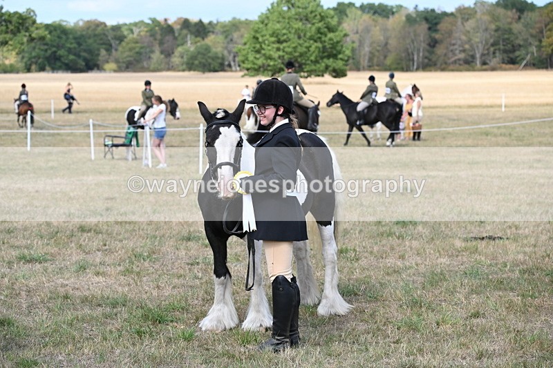 WJ6_6761 - Class 20 In-hand Cob