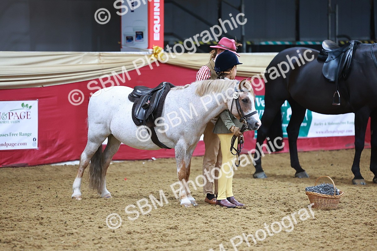 SBM_07710 - Class 101 - HOYS Veteran Qualifier - Ridden Diamond
