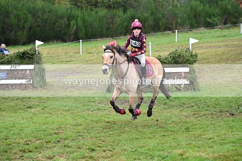 WJ6_2484 - 80cm Cam 1 Time 11:23 to 12:04