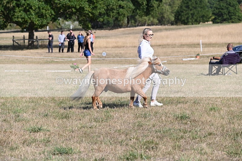 WJ6_7266 - Class 33 Rescue Pony