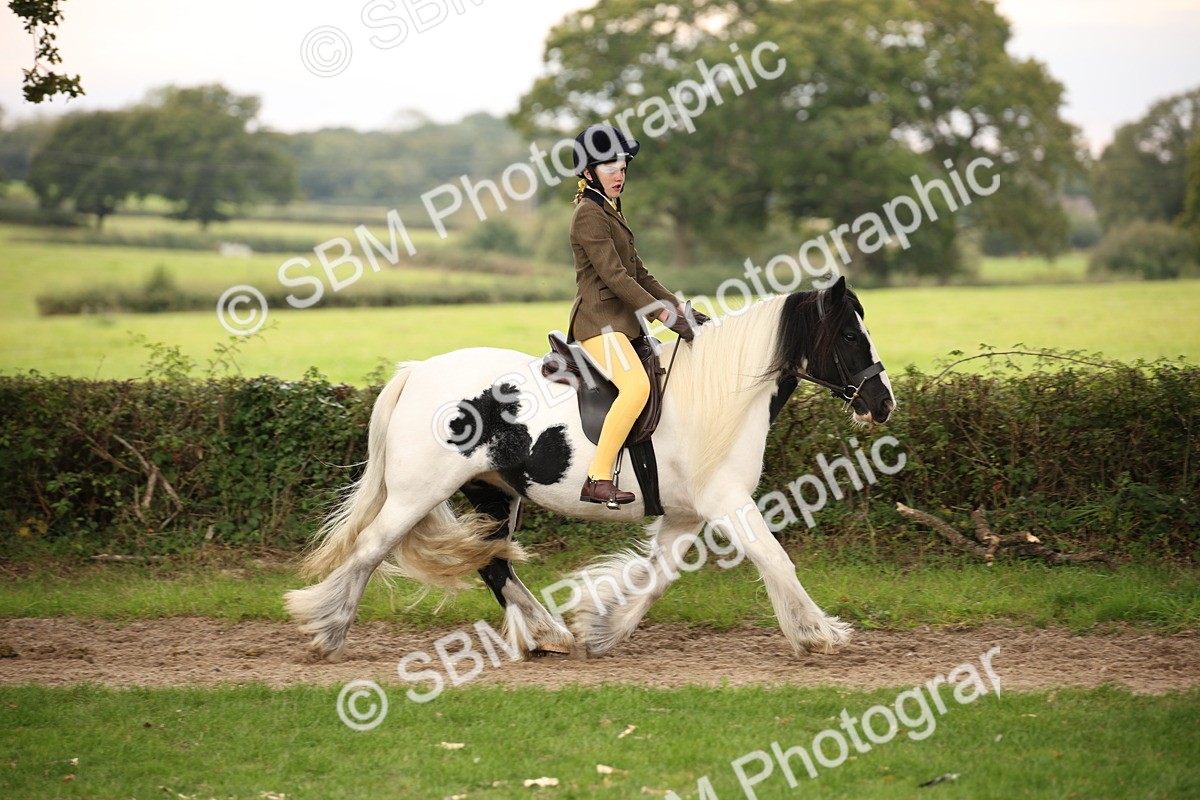 SBM_73434 - S68 - Traditional Cob Ridden