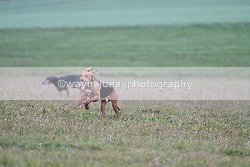 WJ7_0436 - Camera 1