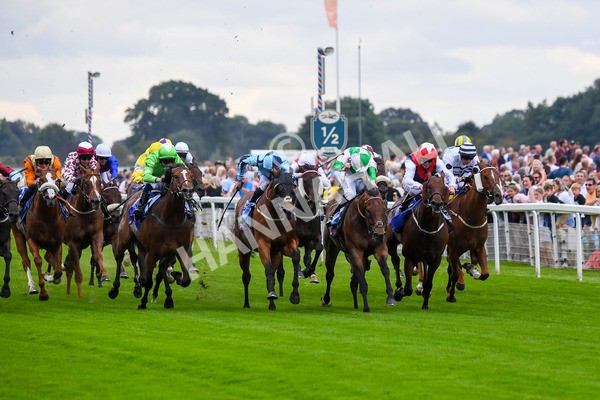 230823-Race 1-Equilateral-0227 - Race 1 1.50pm Sky Bet And Symphony Group Handicap