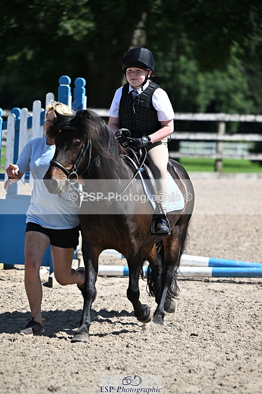 240729B-113253-02427 - Showjumping Competition