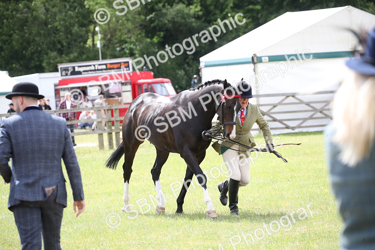 SBM_14231 - Class 113-114 - Retraining of Racehorses Ridden