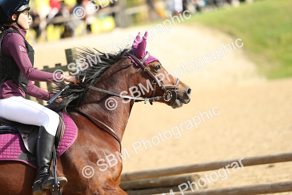 SBM_17172 - E4b - Eventers Challenge 60cm Open