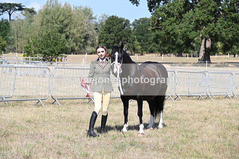WJ6_5027 - Class 17 Mountain & Moorland