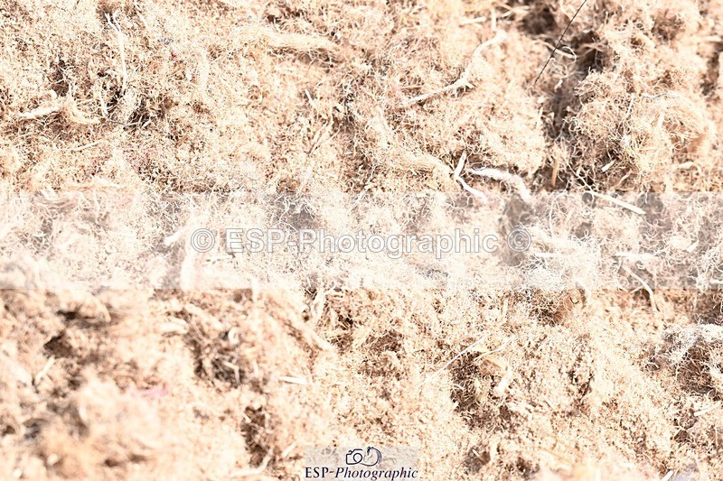 250620-104921-03126 - UnA Cls 3+4 - Prelim 1+2