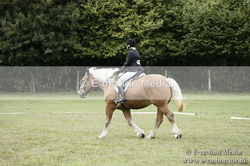 BVR080918 142 - BVRC Novice Dressage & CR 08/09/18