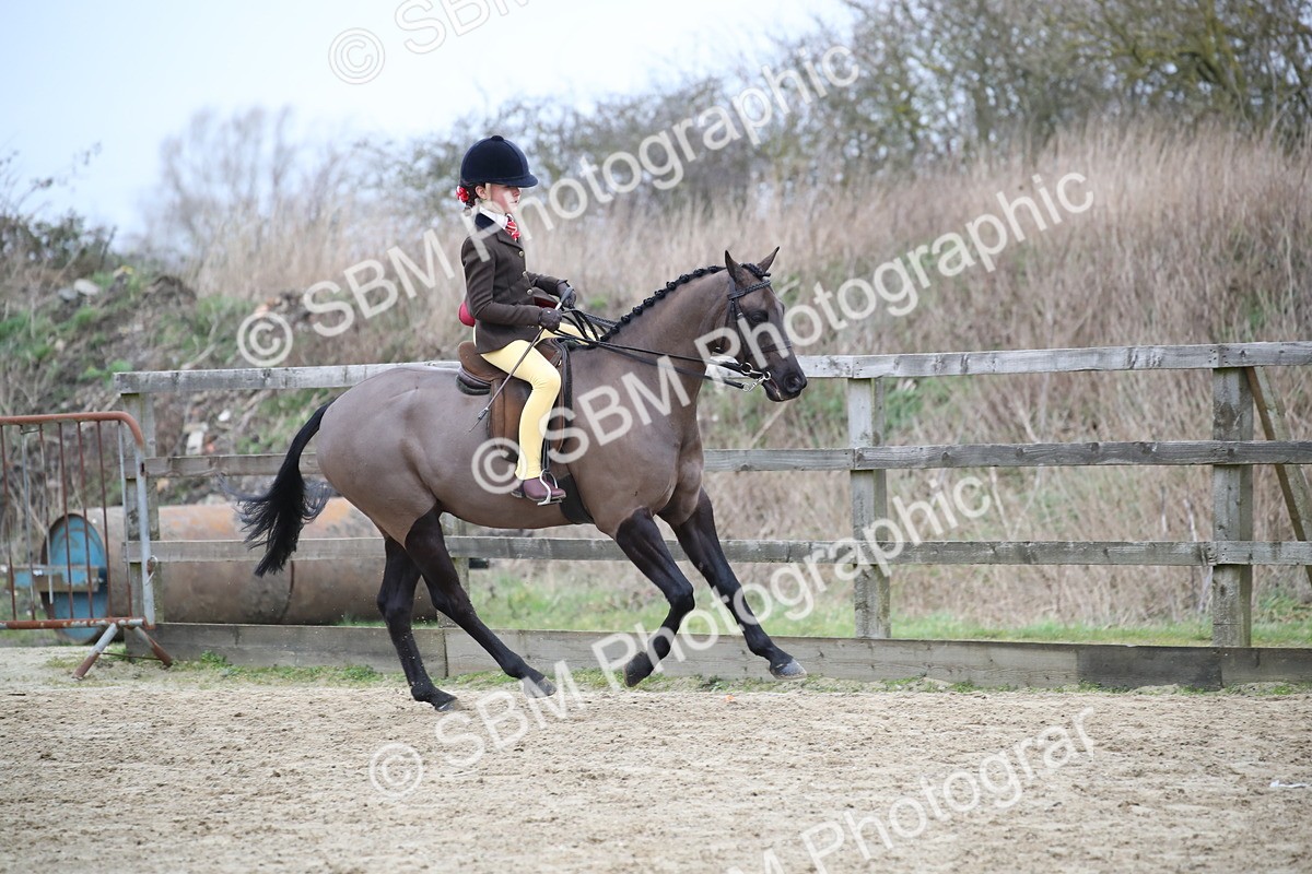 SBM_004649 - Class 5-9 - NPS In Hand-Show Hunter-Intermediate Ridden Inc Ridden Championship
