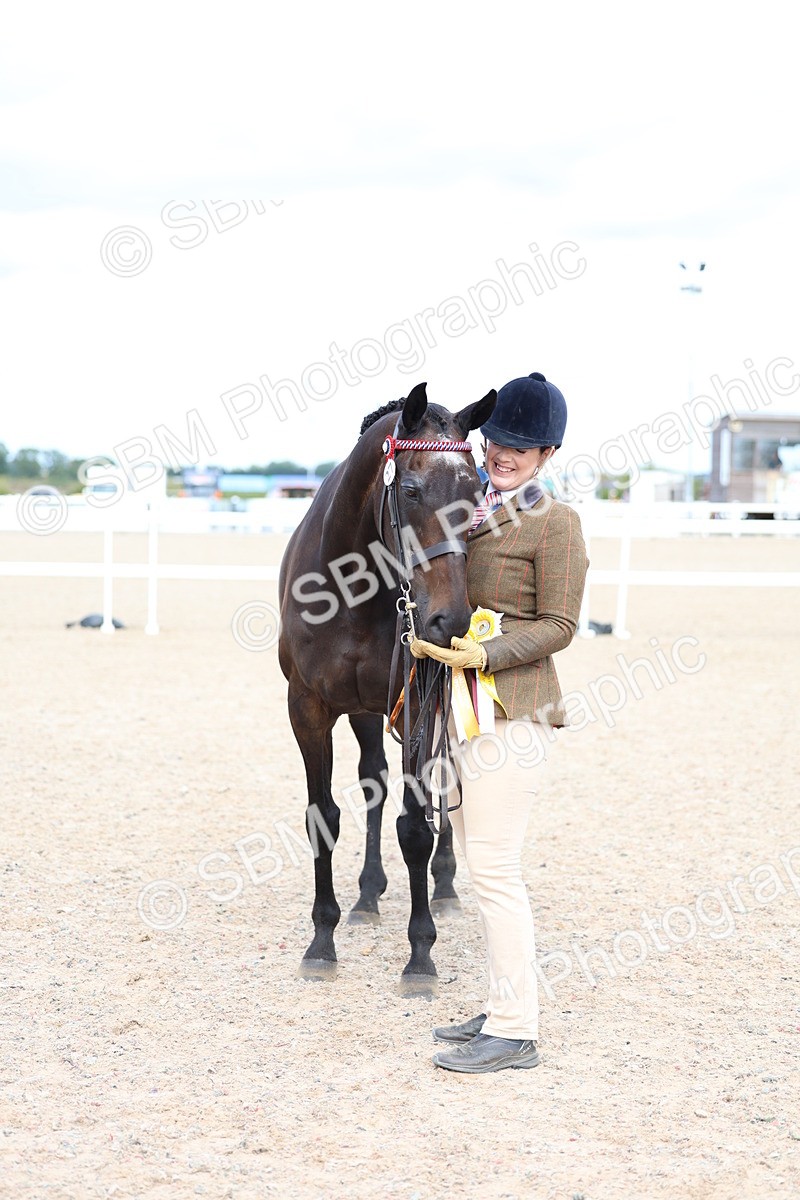 SBM_15298 - Class 313 - IH Retired Racehorse