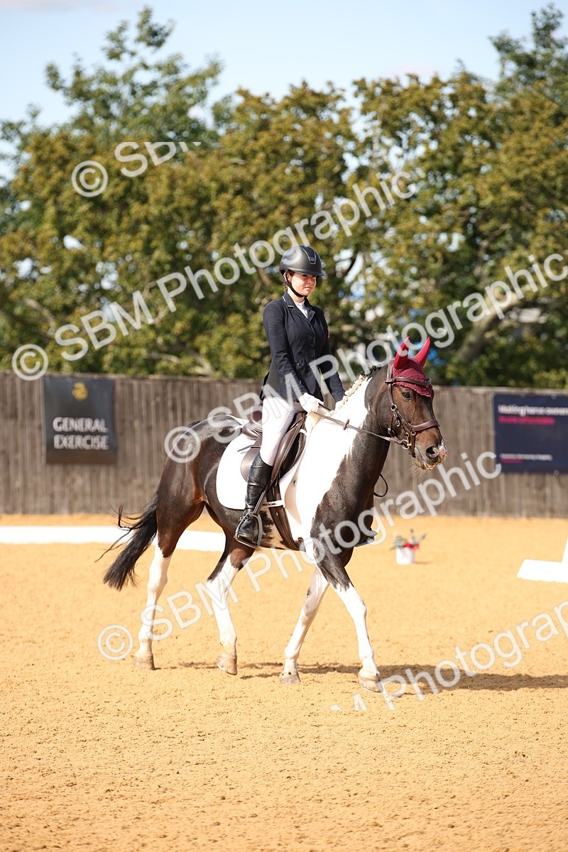 SBM_24102 - D5 - Small Tour Championship - Intro C