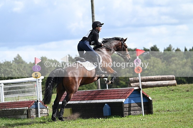 WJ7_1914 - Time 13:17 to 13:53