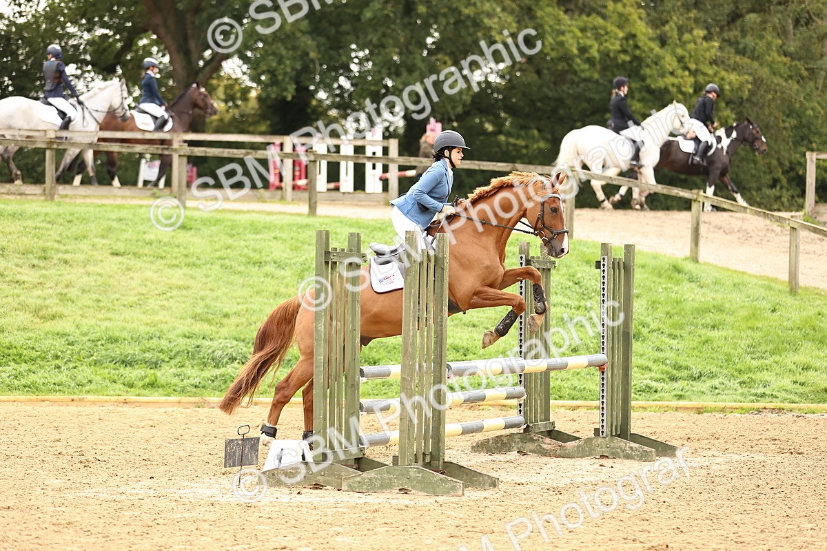 SBM_58516 - J41 - Grand Tour Horse & Pony 95cm