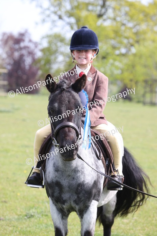 20260426-2616 - Class 31 - Leading Rein