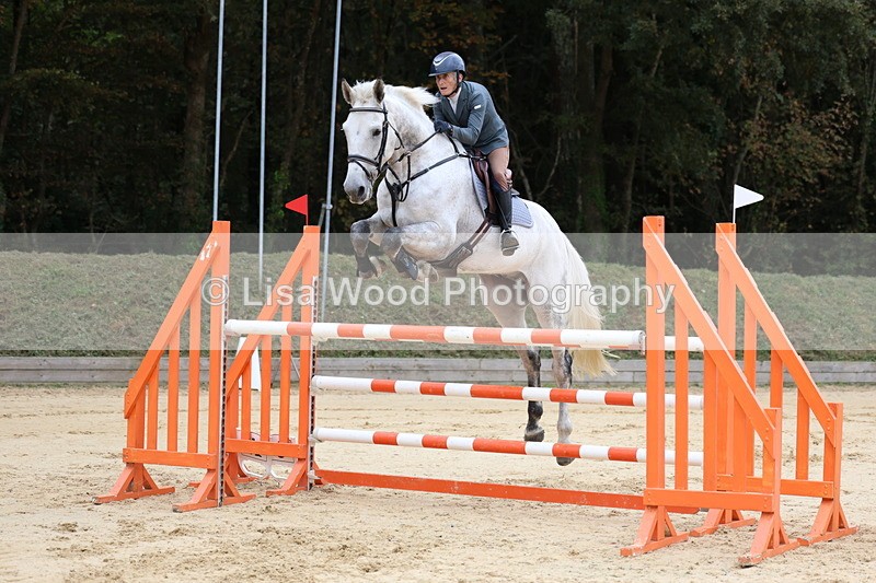 3E7A3234 - Class 9: Senior Foxhunter/1.20 open