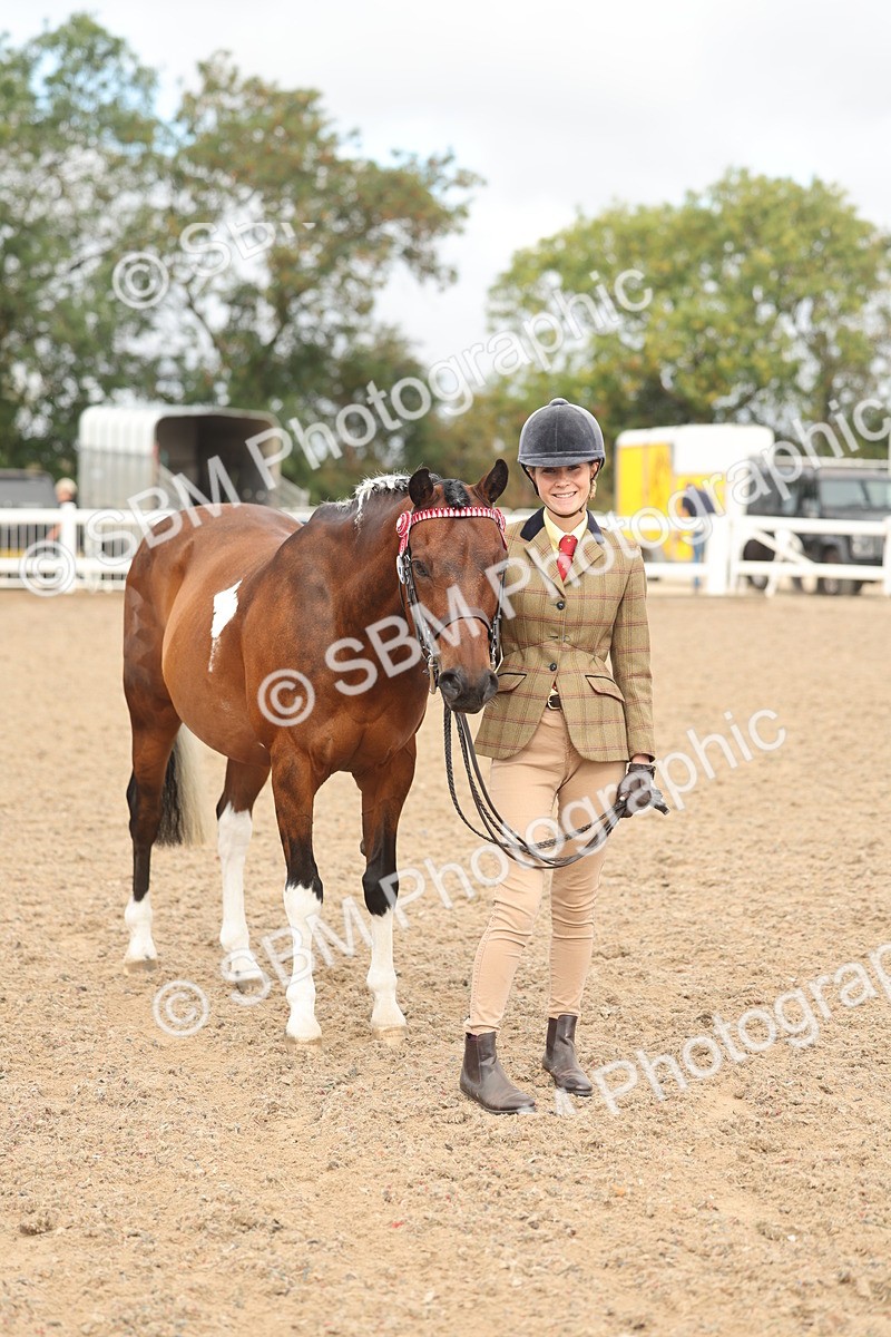 SBM_02107 - Class 15 - IH Coloured