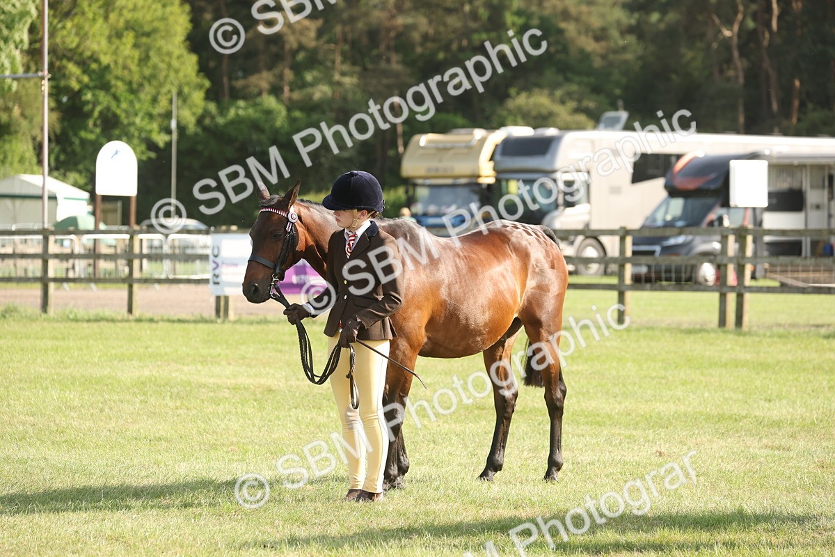 SBM_10465 - Class 33-38 - SSADL RIHS Qualifiers