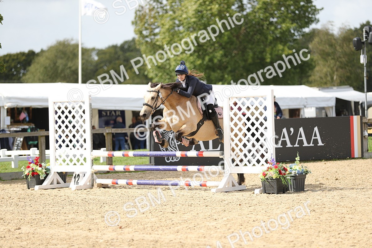 SBM_06469 - J29 - Senior Horse & Pony 65cm Championship