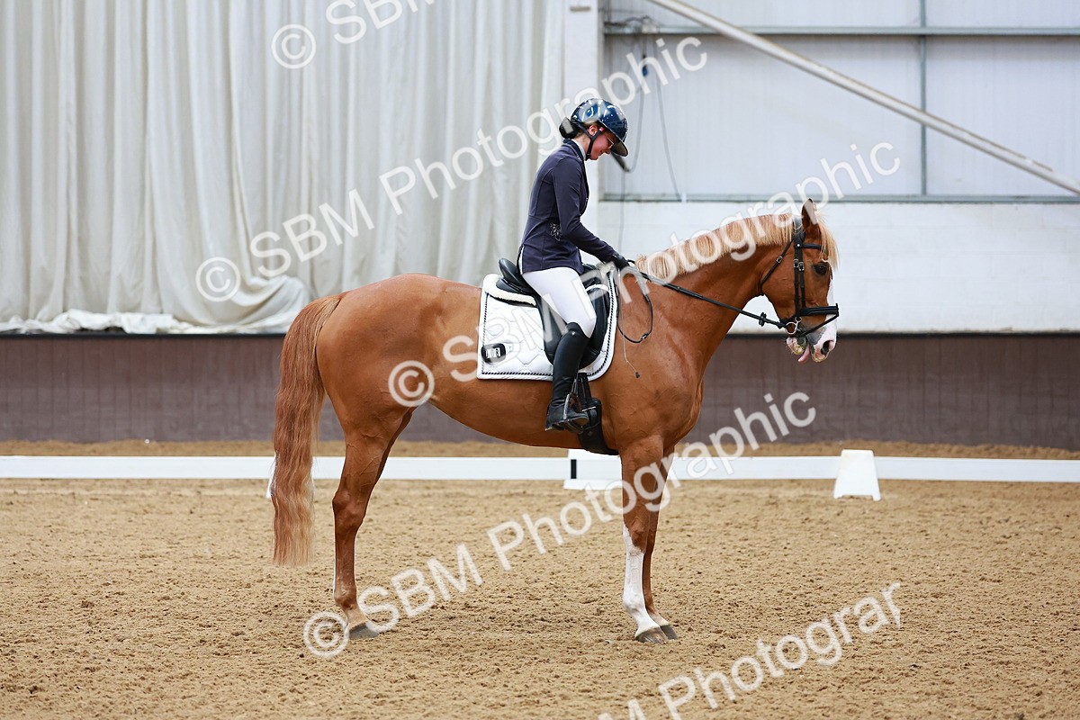 SBM_002865 - Class 14 - Novice 2
