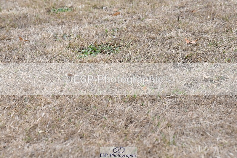 250820A-175728-12397 - Wednesday Presentations