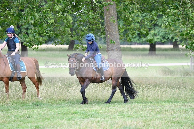 WJ5_2295 - Time at Jump 14:02 to 14:46