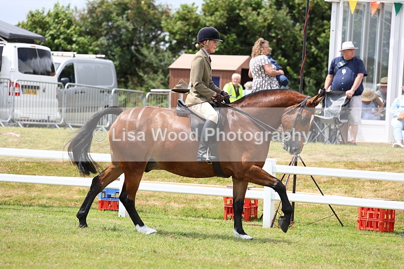 3E7A1948 - Class 10: Open Cob
