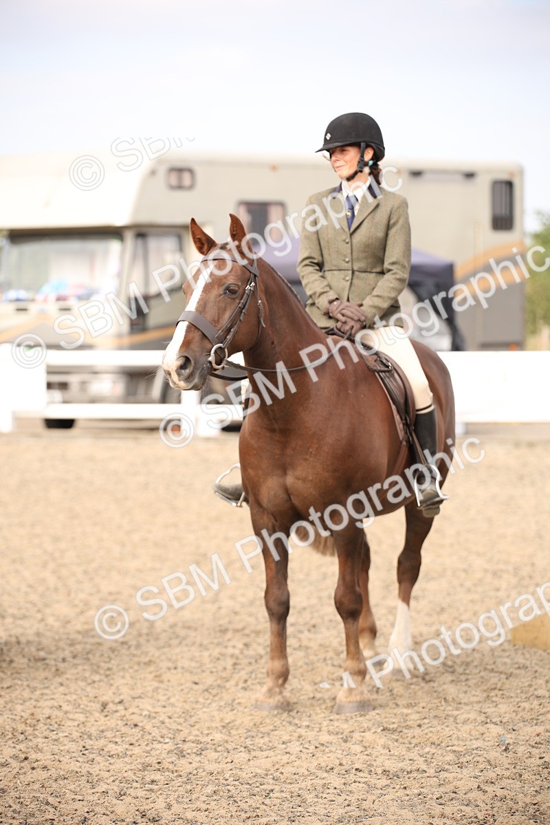 SBM_16102 - Class 408b - Working Veteran 70cm (20+)