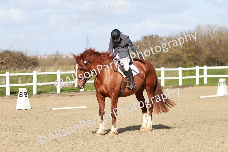 20260314-2849 - DR3 - Prelim 1