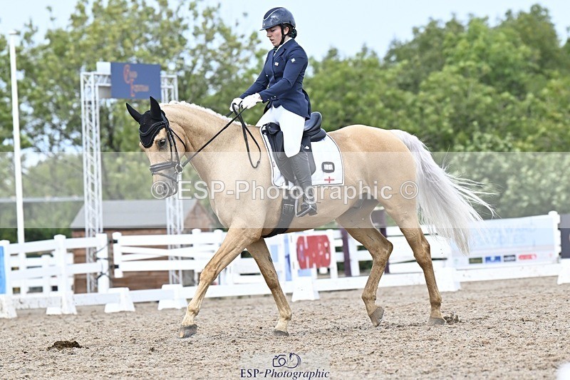 250907-131654-09883 - 025-Carrie.EveGekkos.Gold