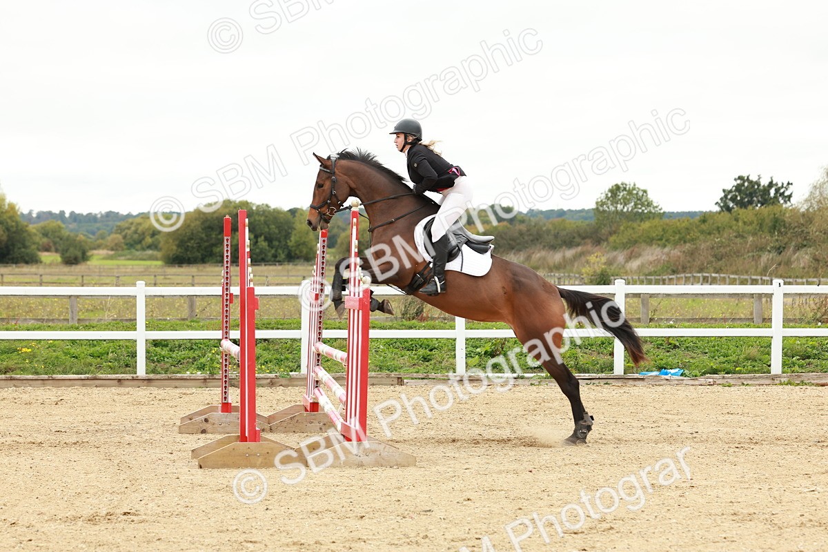 1I0A7081 - Class 2 - Senior British Novice