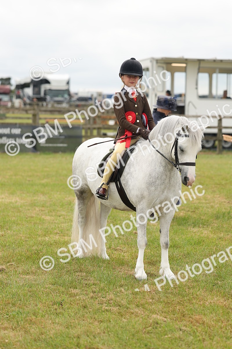 SBM_06956 - Class 74-75 - M&M Lead Rein and First Ridden Pony