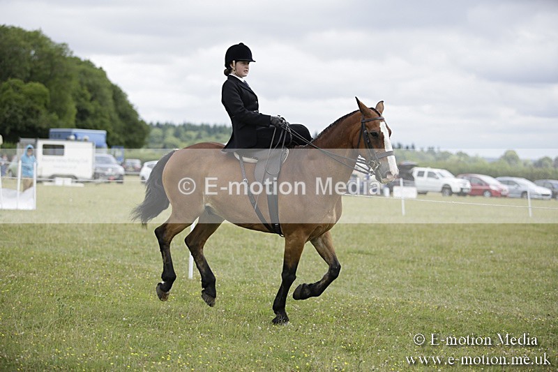 BVR160717-1934 - Side Saddle Classes 16/07/17