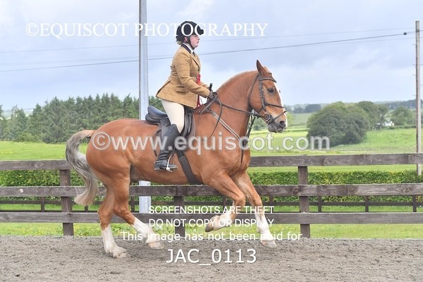 JAC_0113 - CHAMPIONSHIPS AND SUPREME
