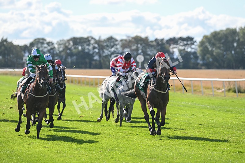 290825-Race 4-Eternal Sunshine-9012 - Race 4
