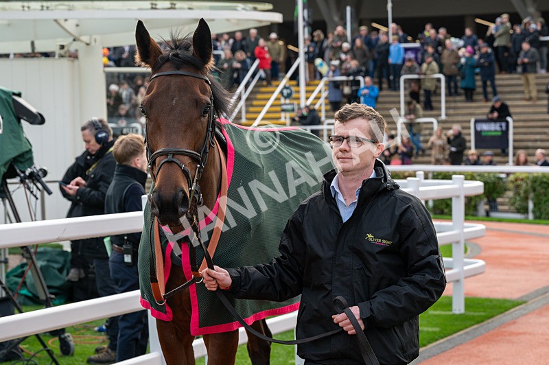 161125-Race 1-Bespoke Tailor-1147 - Race 1