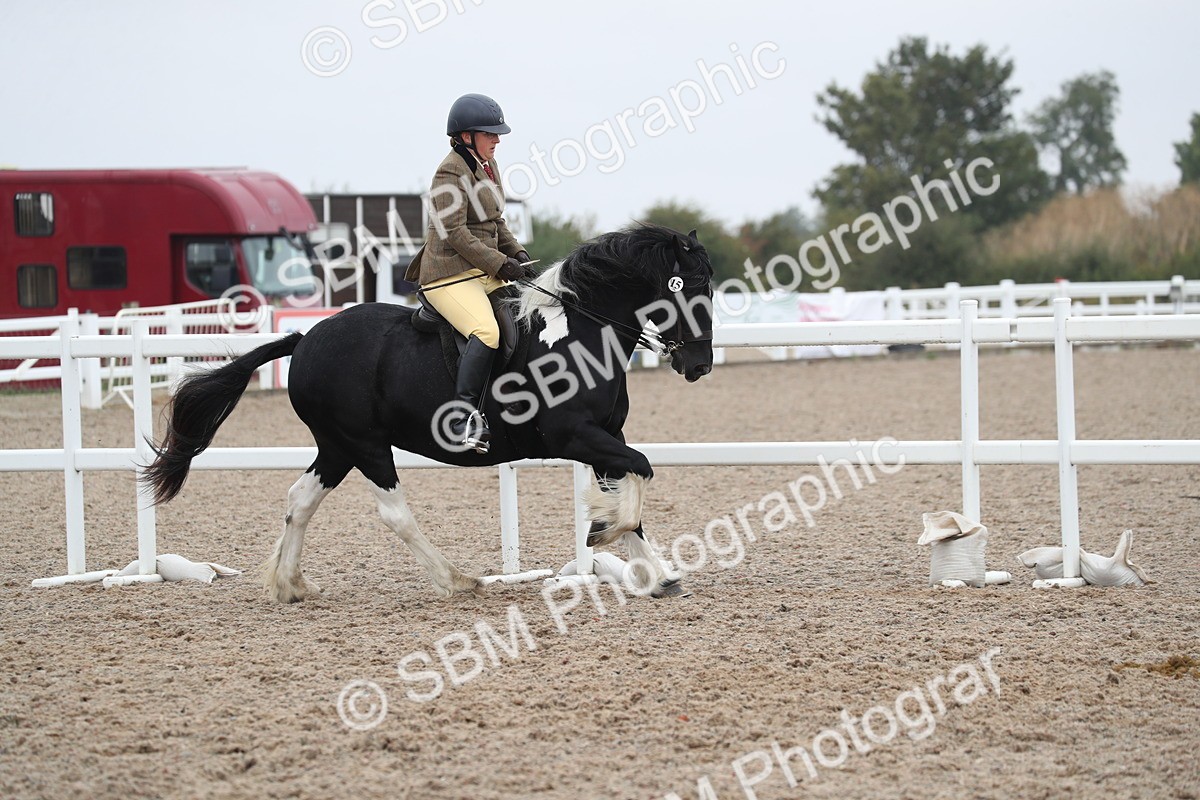 SBM_21958 - Class 603 - 2025 Area Ridden Pre Vet