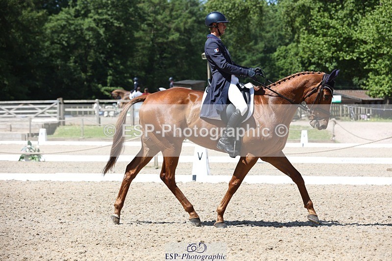 230526-114433-06101 - 156-JUST_PERFECT-Gaspard_Maksud-WEDTrotUp+DR