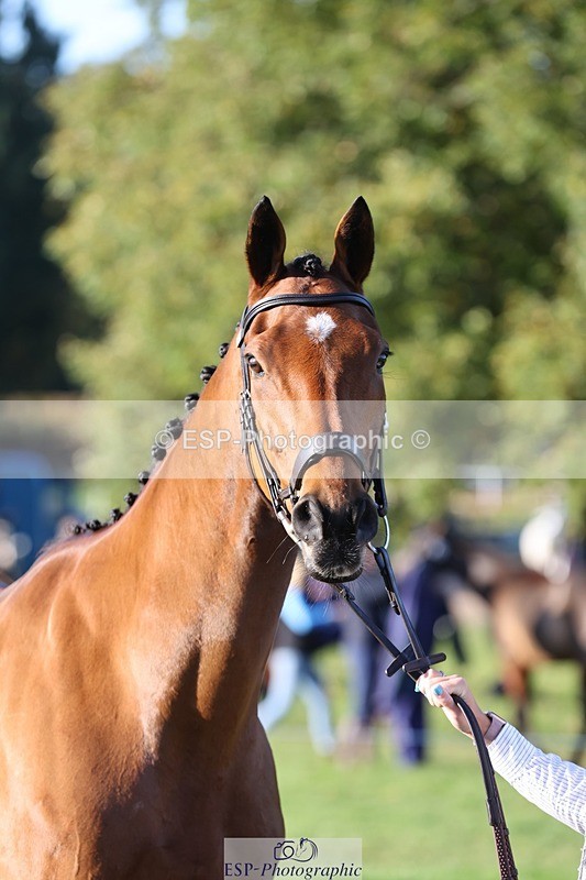 241027-091342-15135 - 462-Helen.Jackson-ADAMS.PARK