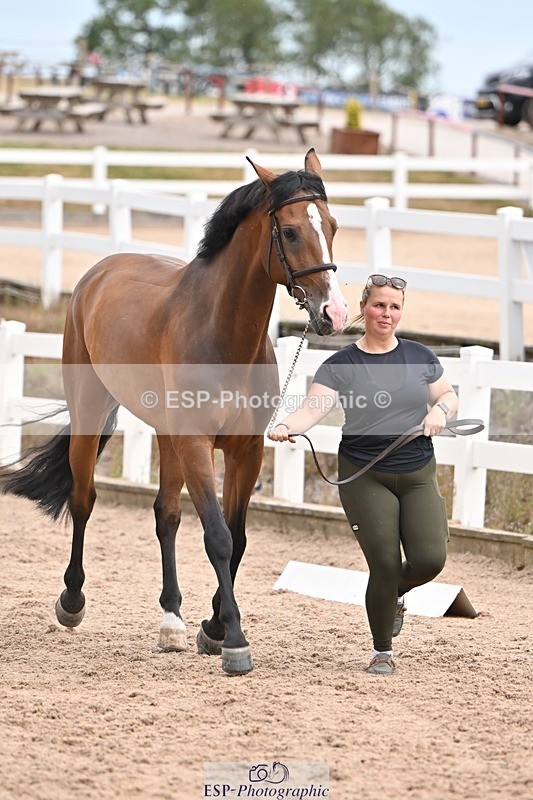 250716-151331-01790 - Trot Up 2.30 to 3.30