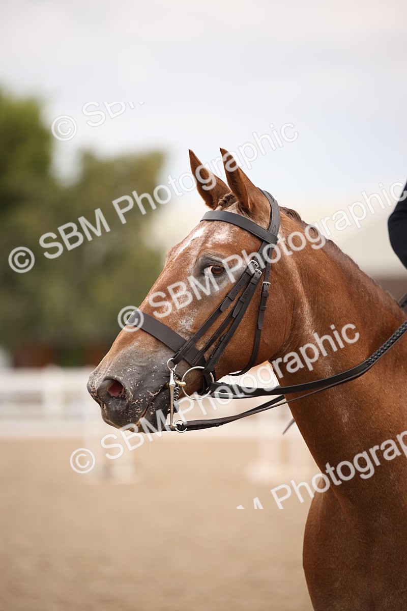 SBM_05383 - Class 22 SSA Equitation