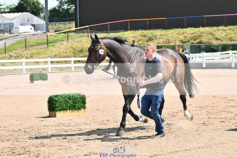 240718A-105239-00985 - Trot Up 11am to 12pm