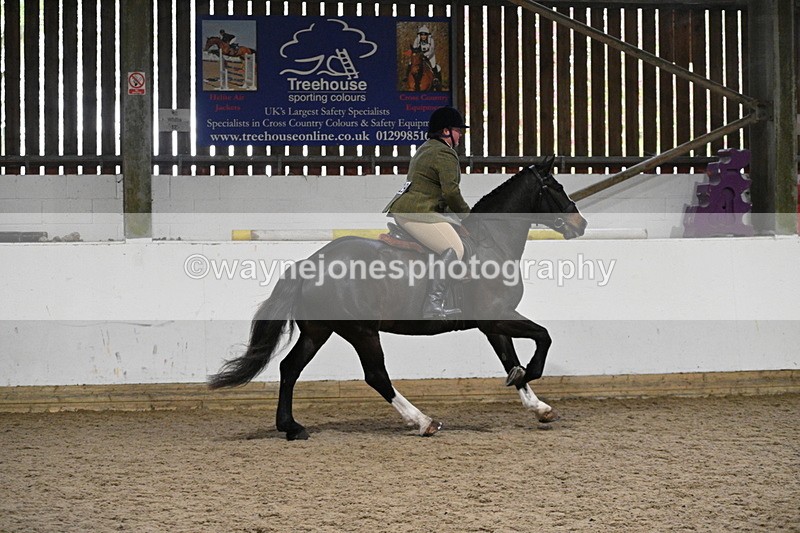 WJ7_3960 - Class 17 Ridden Cob